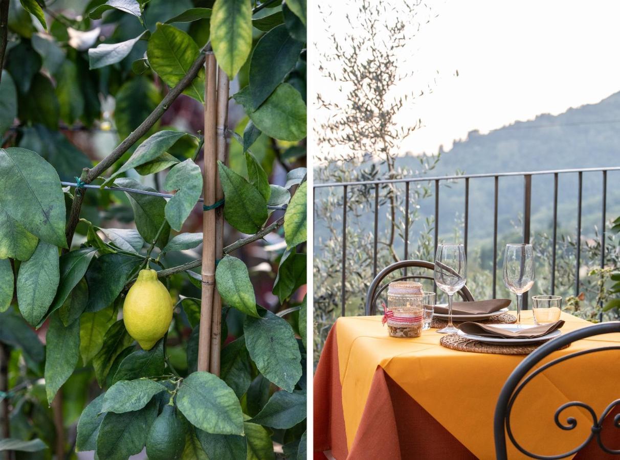 Casetta Di Butia, Ginestra Apartment With Swimming Pool Borgo a Mozzano Exterior foto