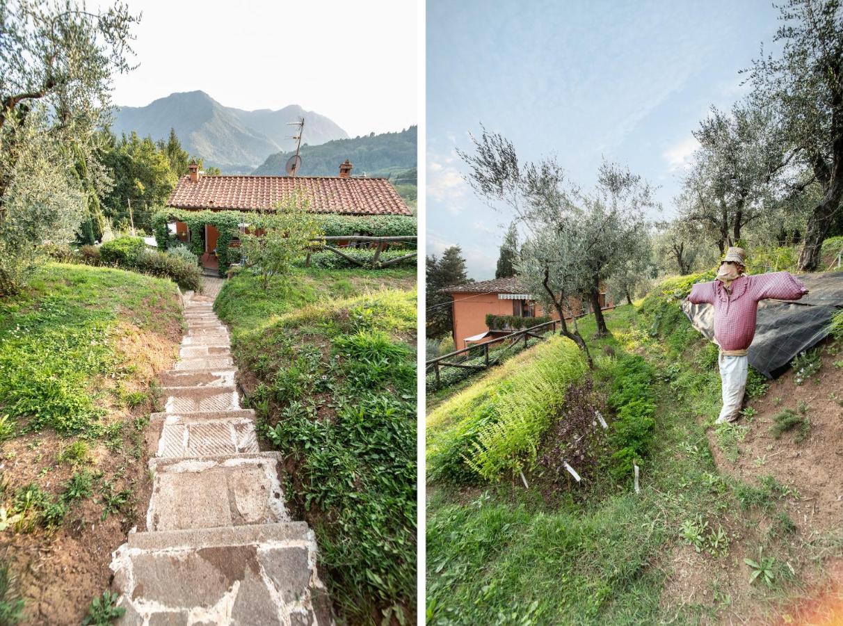 Casetta Di Butia, Ginestra Apartment With Swimming Pool Borgo a Mozzano Exterior foto