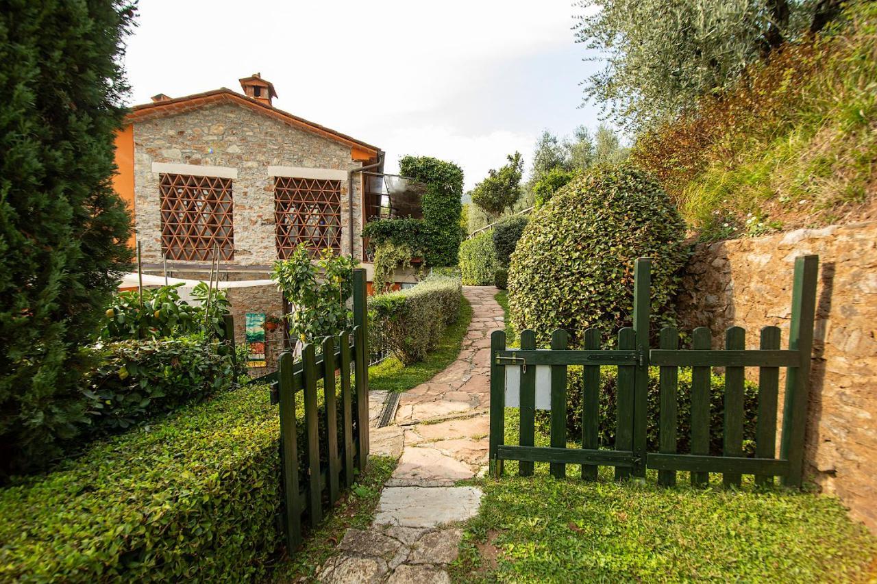 Casetta Di Butia, Ginestra Apartment With Swimming Pool Borgo a Mozzano Exterior foto