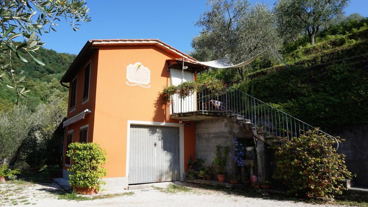 Casetta Di Butia, Ginestra Apartment With Swimming Pool Borgo a Mozzano Exterior foto