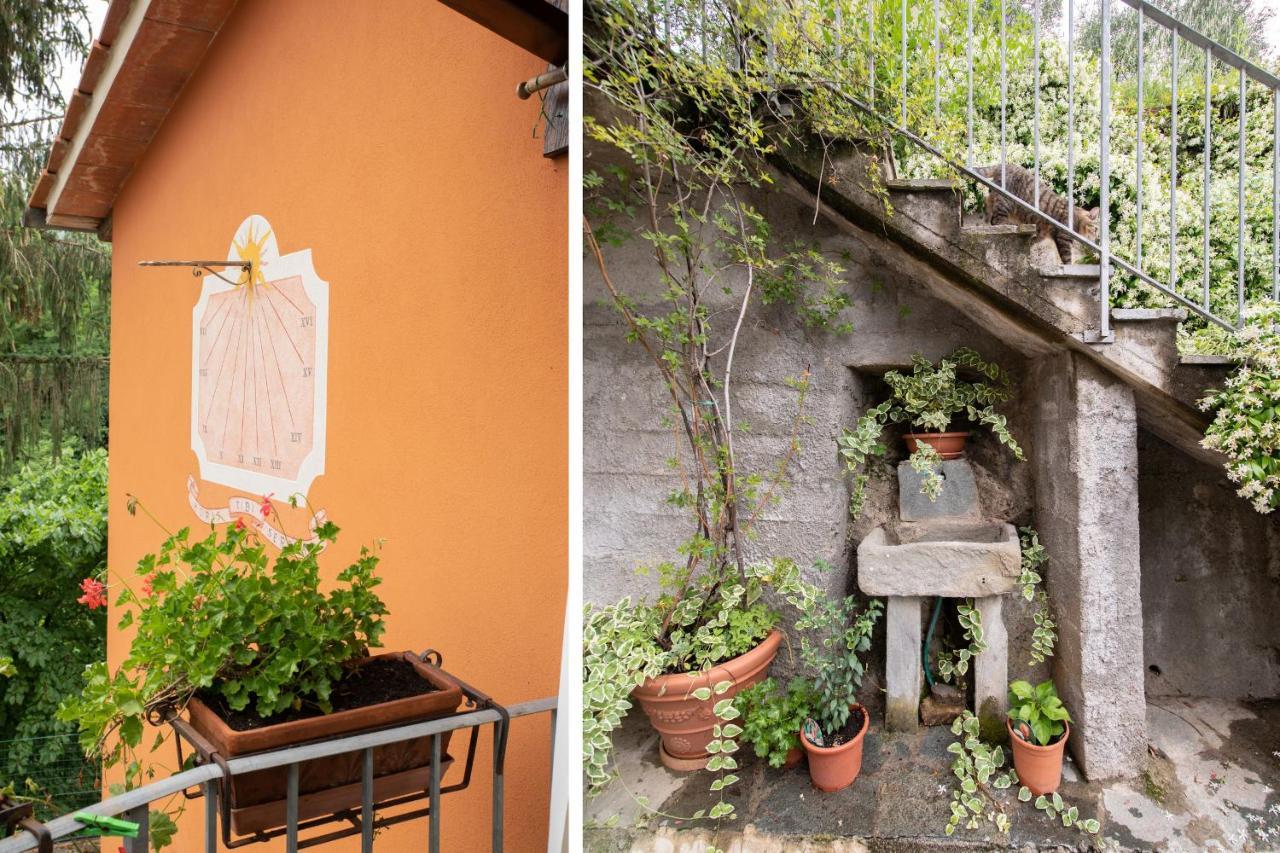 Casetta Di Butia, Ginestra Apartment With Swimming Pool Borgo a Mozzano Exterior foto