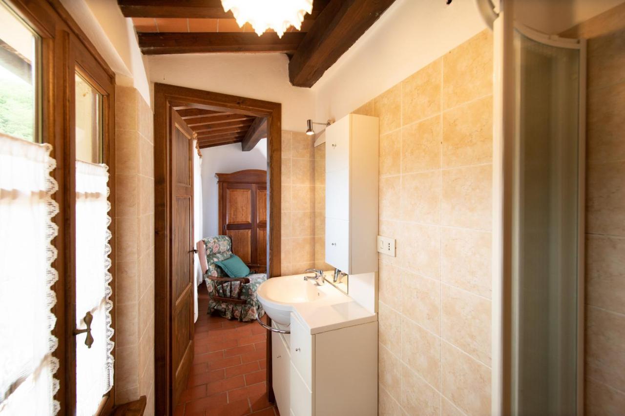 Casetta Di Butia, Ginestra Apartment With Swimming Pool Borgo a Mozzano Exterior foto